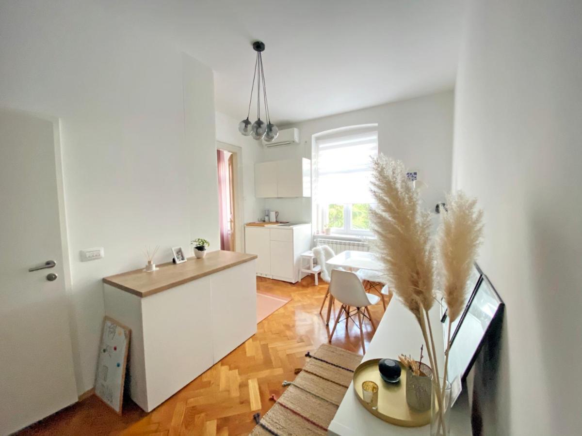 Bright Apartment 45M2 - Free Parking - Wifi Rijeka Eksteriør billede